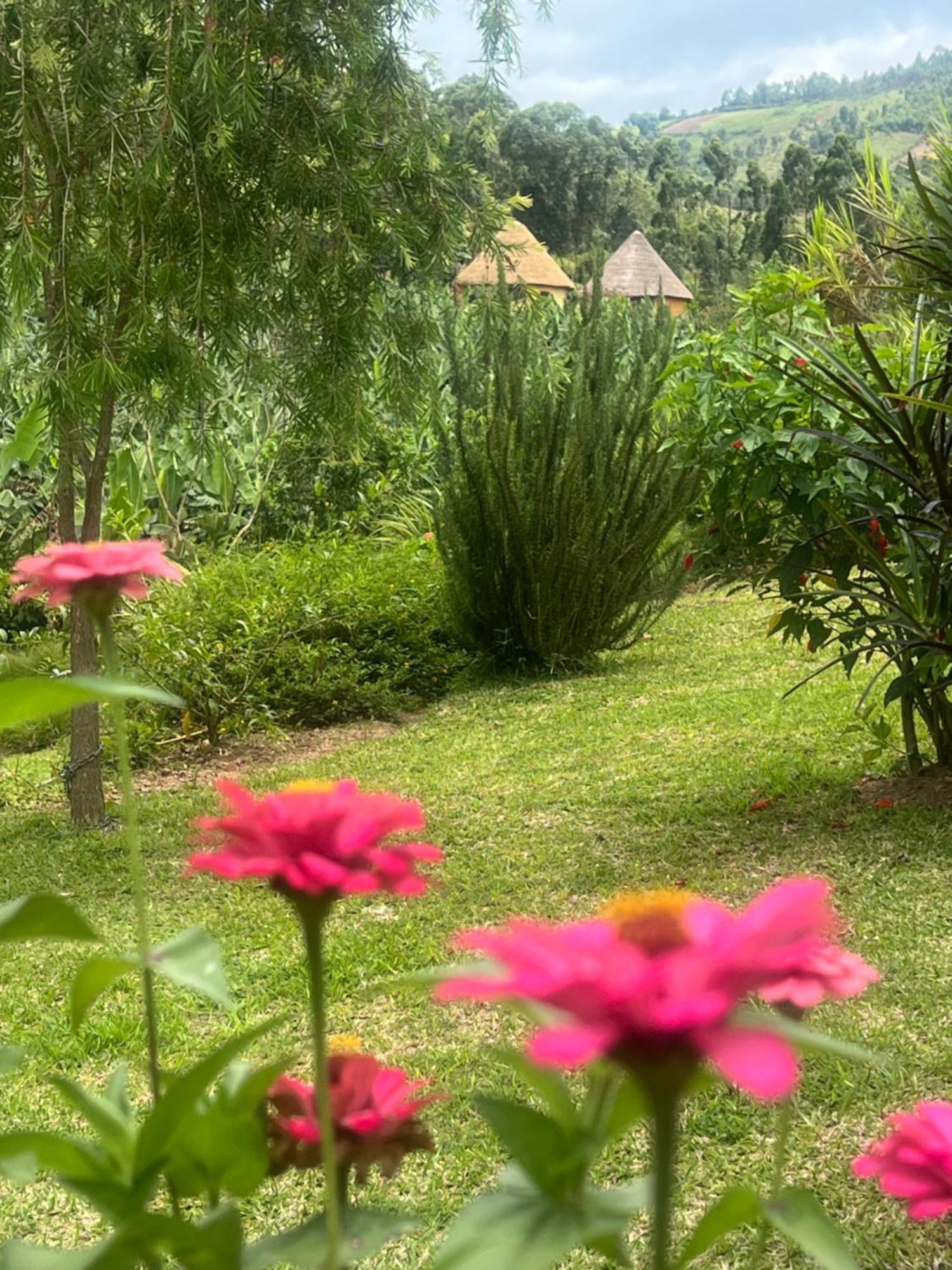 Nyore Hillside Retreat Mbarara Buitenkant foto
