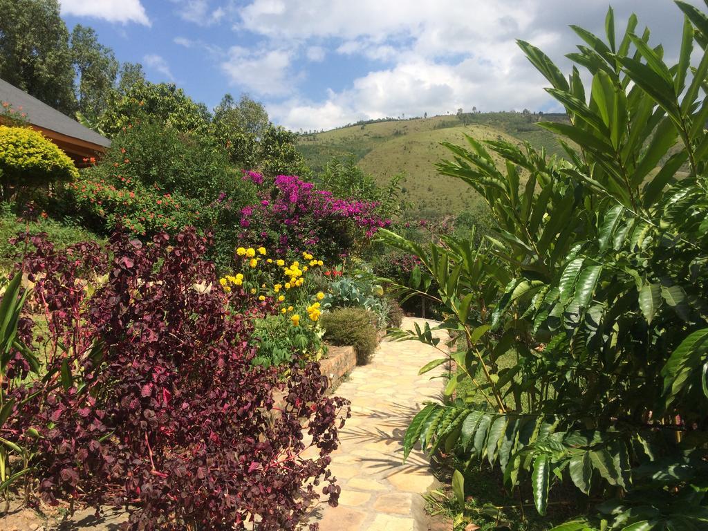 Nyore Hillside Retreat Mbarara Buitenkant foto