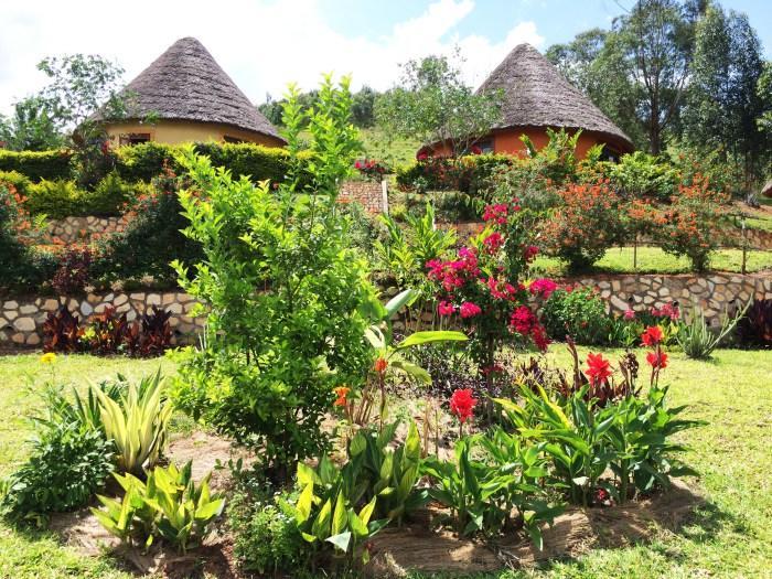 Nyore Hillside Retreat Mbarara Buitenkant foto