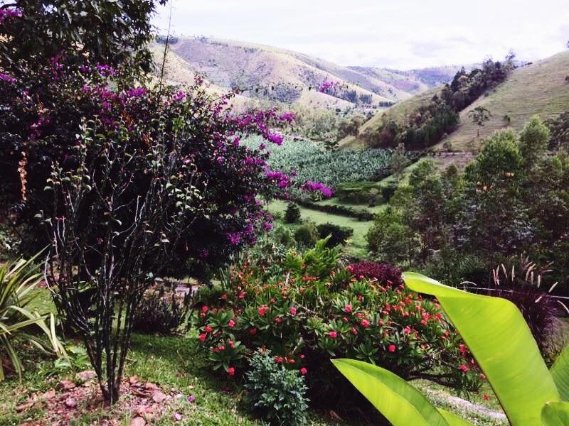 Nyore Hillside Retreat Mbarara Buitenkant foto