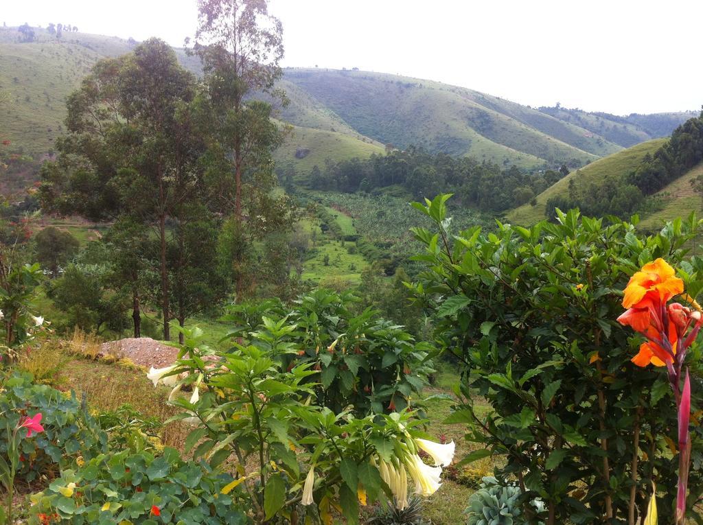 Nyore Hillside Retreat Mbarara Buitenkant foto